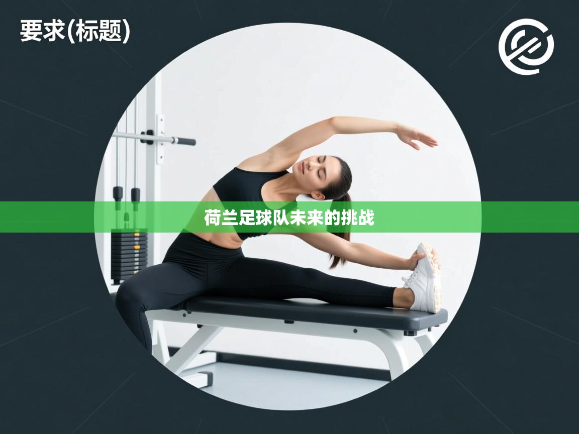 荷兰足球队未来的挑战 第1张